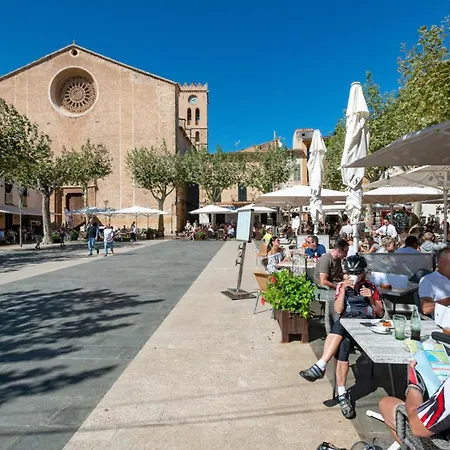 Gato By Vintage Travel * Puerto Pollensa
