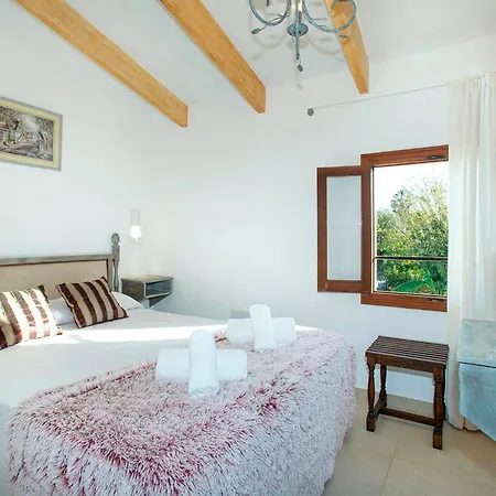 Gato By Vintage Travel *