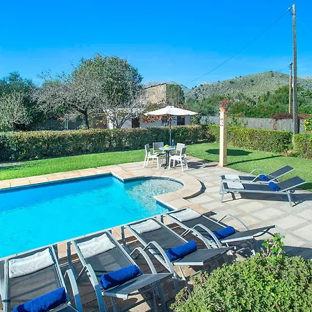 Gato By Vintage Travel *