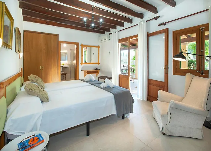 Gato By Vintage Travel