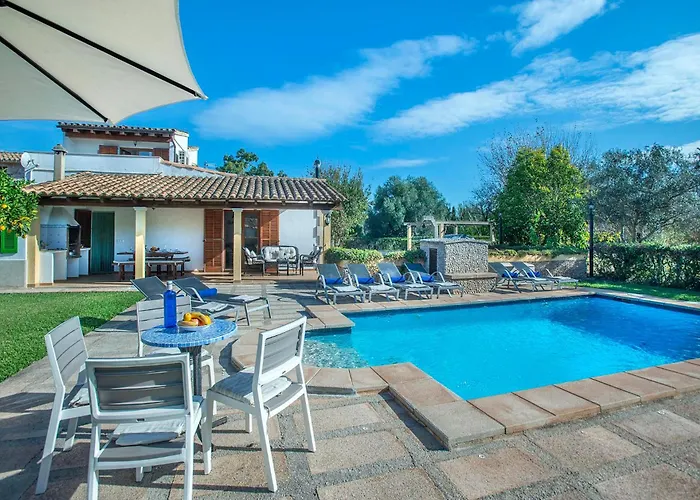 Gato By Vintage Travel *