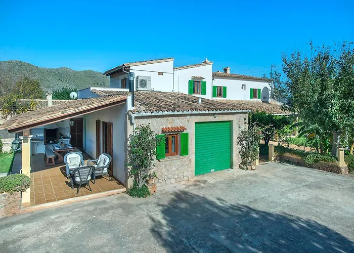 Gato By Vintage Travel