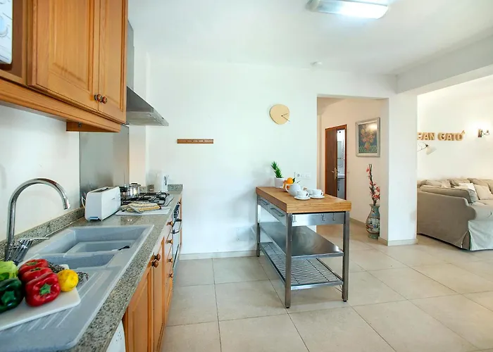 Gato By Vintage Travel Puerto Pollensa