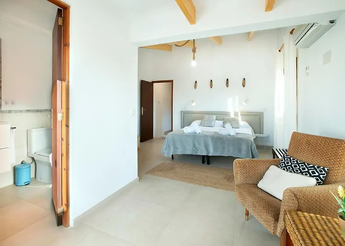 Gato By Vintage Travel Puerto Pollensa