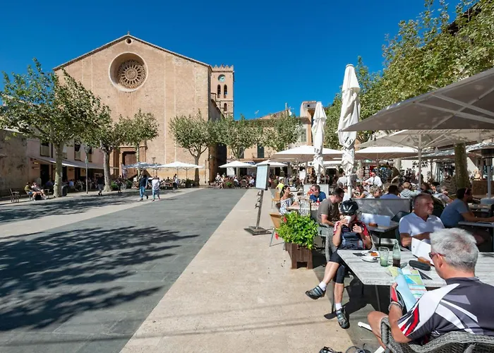 Gato By Vintage Travel * Puerto Pollensa