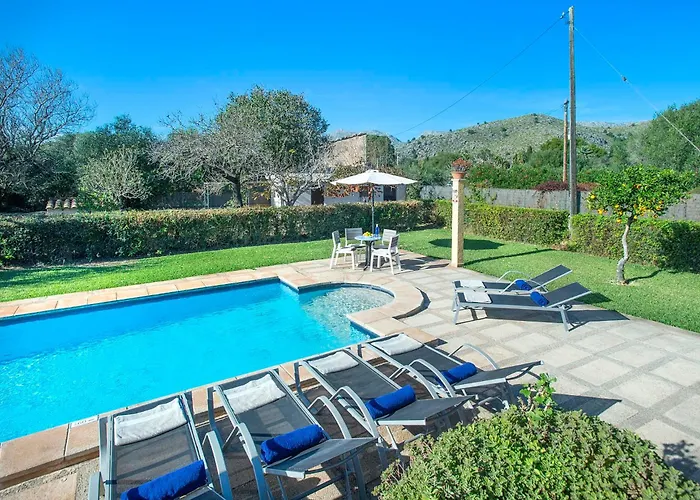 Gato By Vintage Travel *