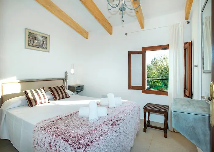 Gato By Vintage Travel *