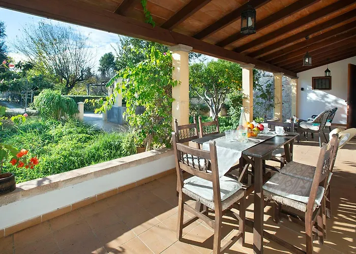 Gato By Vintage Travel