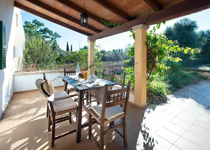 Gato By Vintage Travel * Port de Pollença