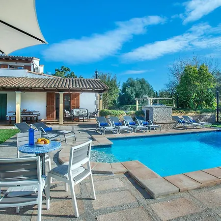 Gato By Vintage Travel *