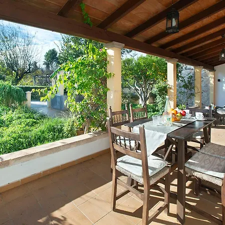 Gato By Vintage Travel